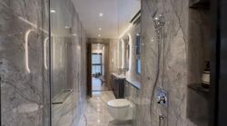 Shrewsbury Road (D11), Terrace #515590751